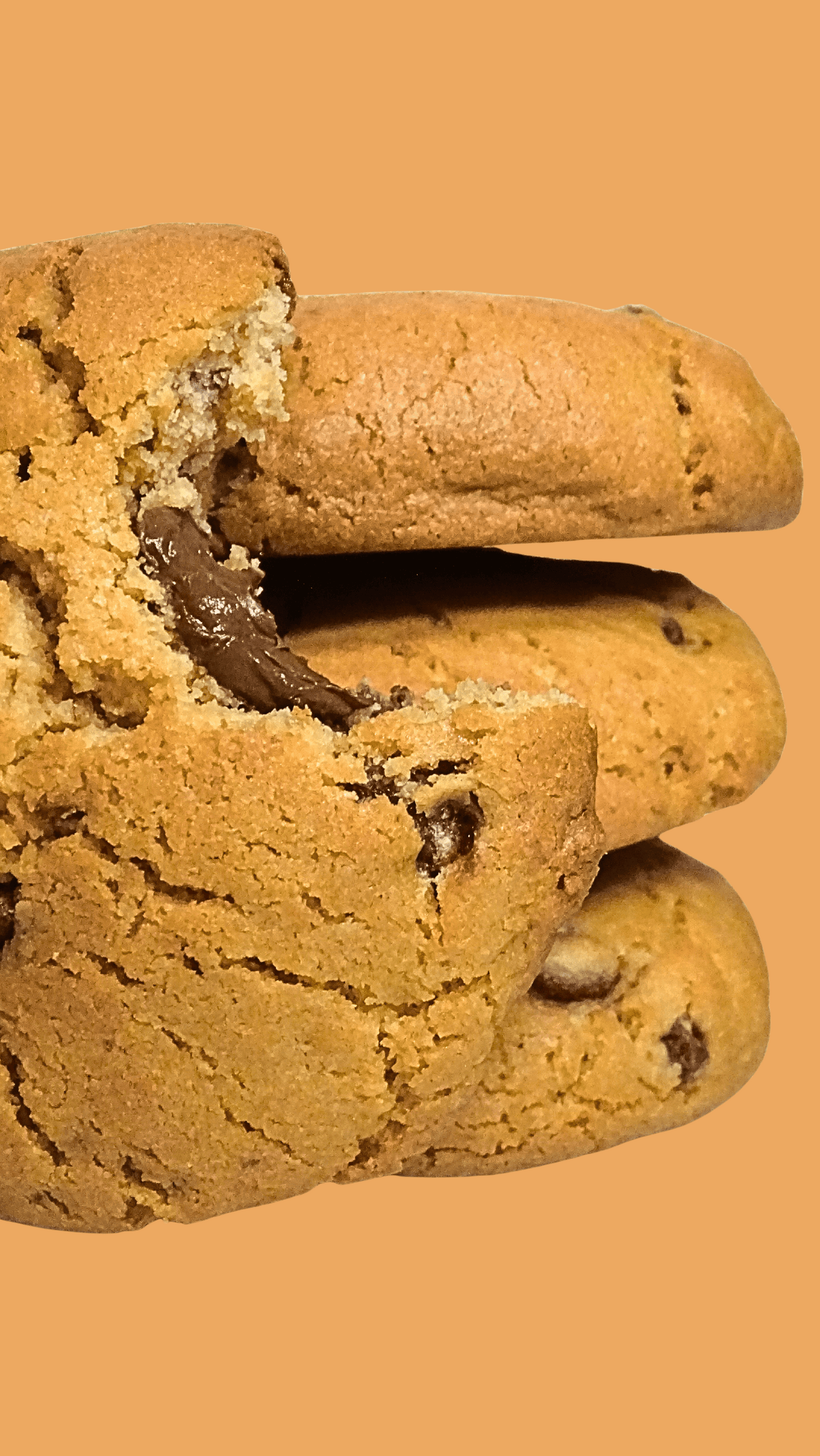 Build Your Box | 12 Cookies